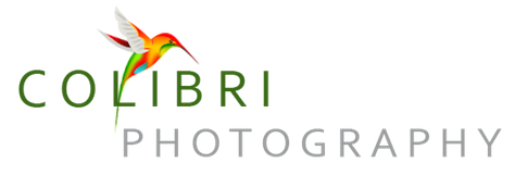 Colibri Photography